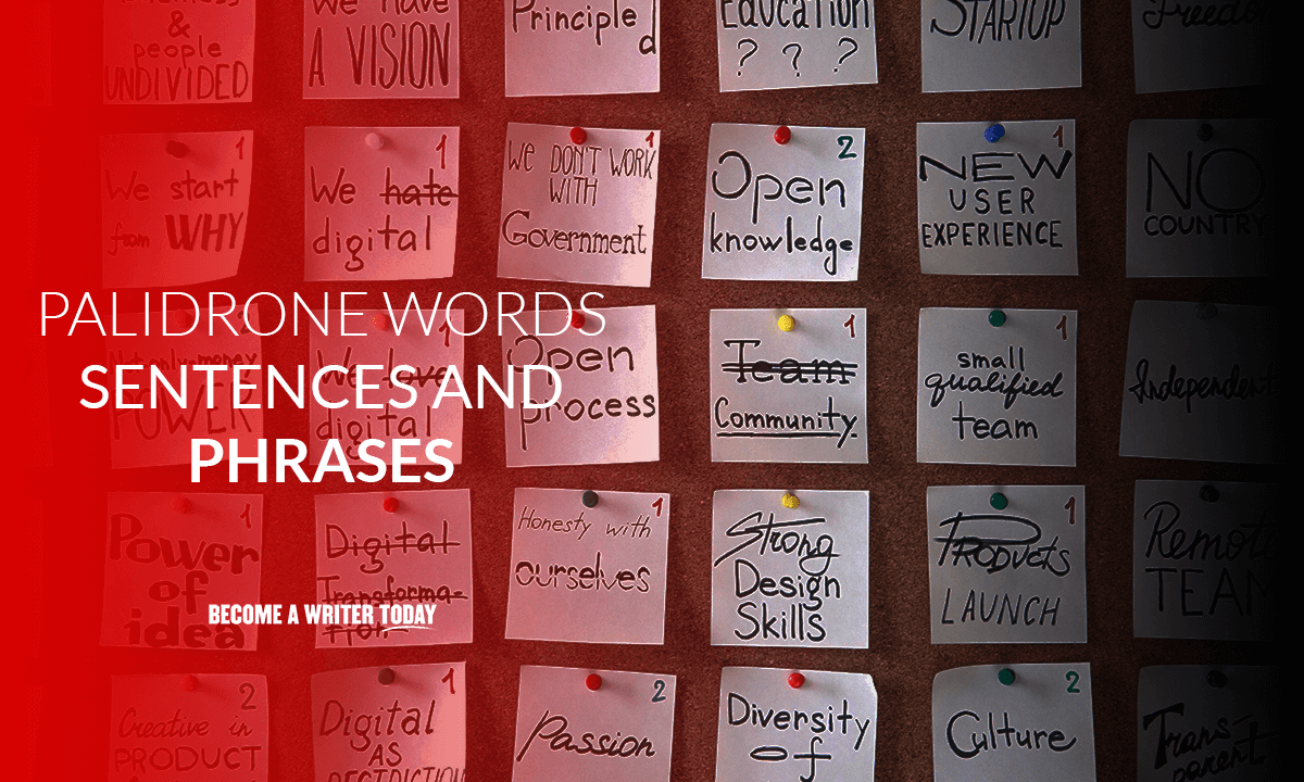 101+ Palindrome Words, Sentences, And Phrases To Check Out