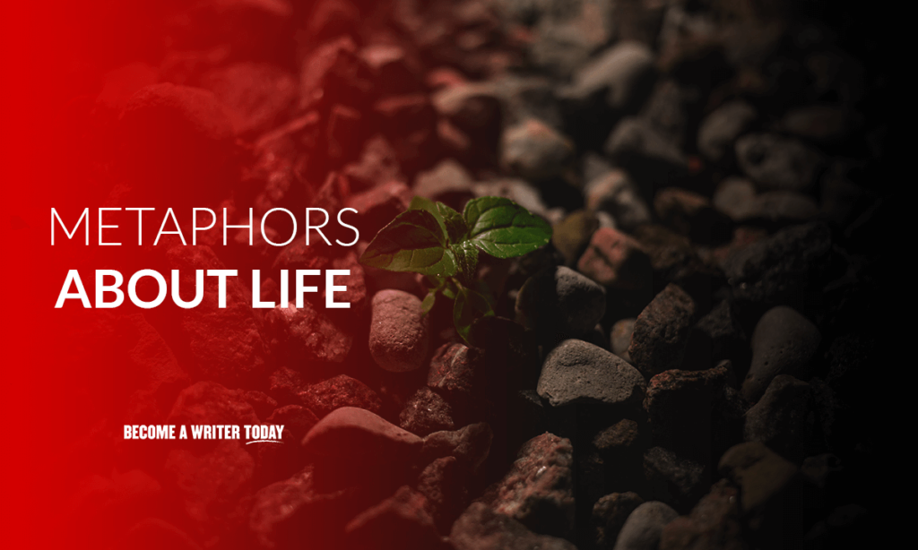 Metaphors about life