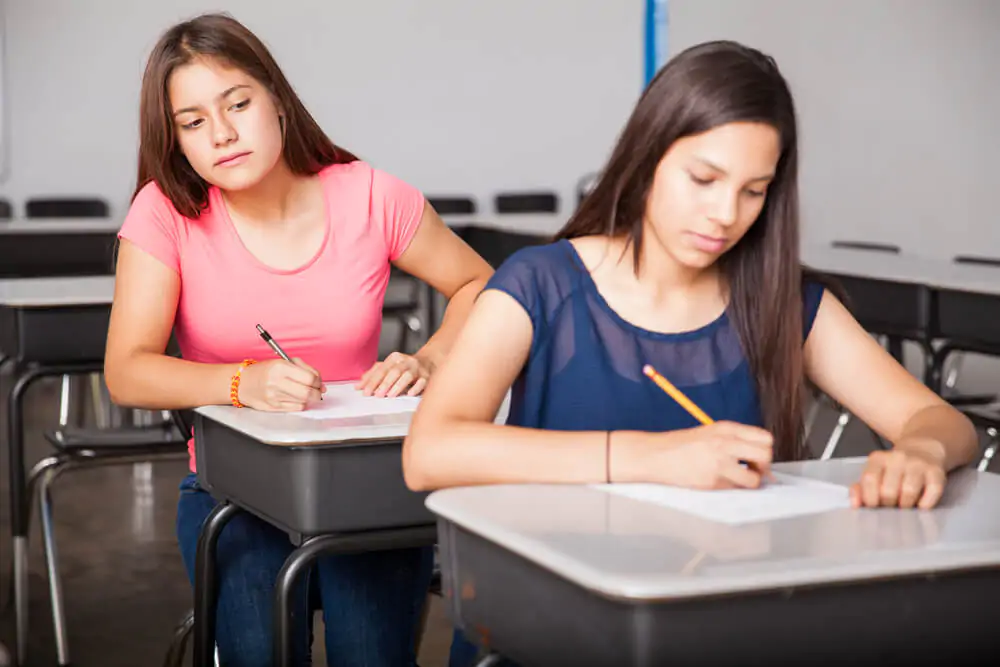 Paraphrasing vs. Summarizing